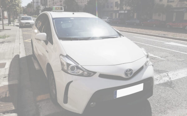 flota taxis
